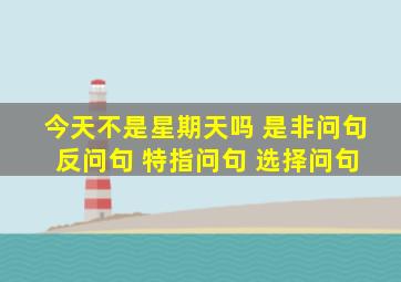 今天不是星期天吗 是非问句 反问句 特指问句 选择问句